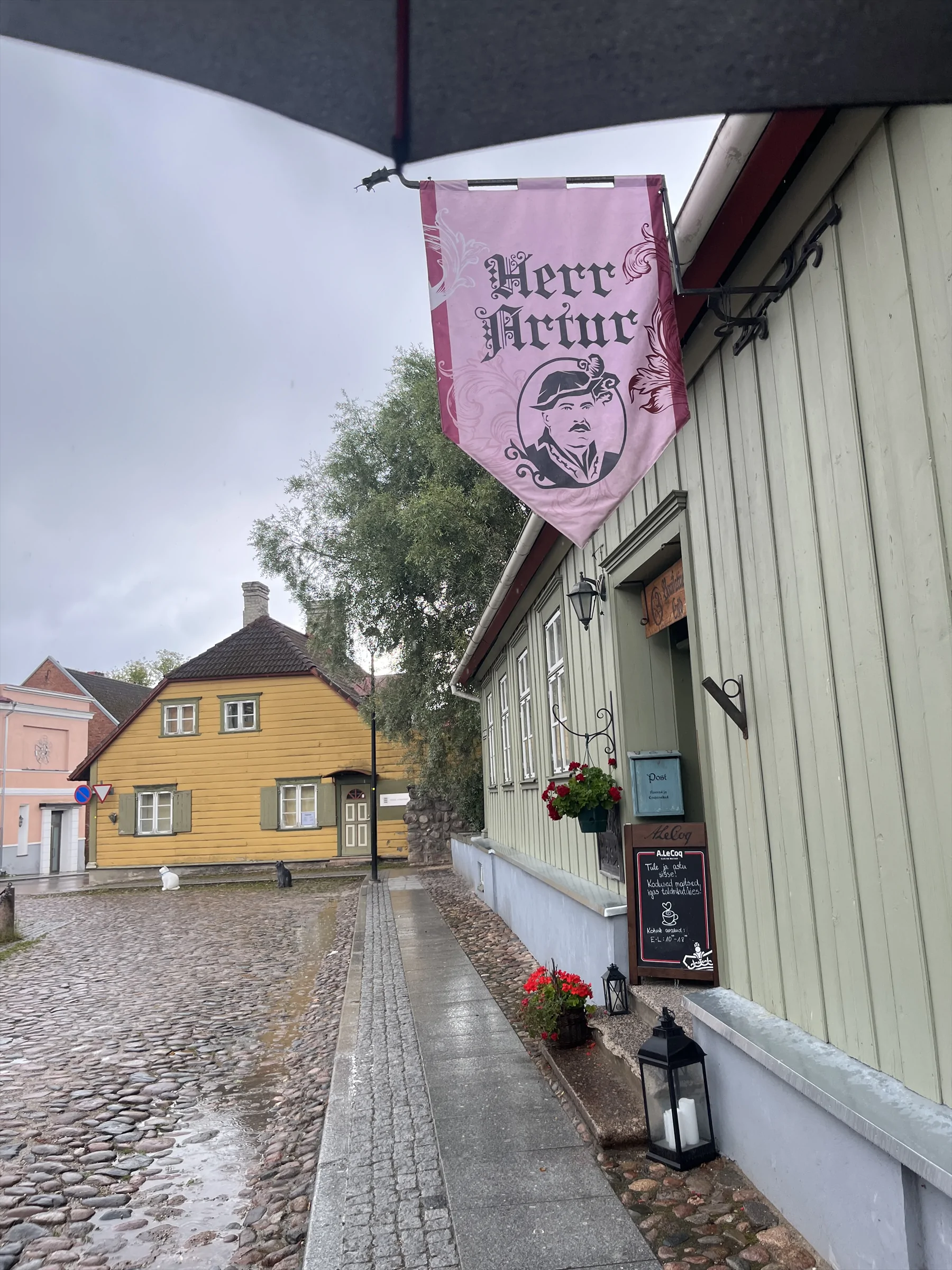 Things to Do in Viljandi: A First-Hand Guide